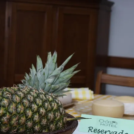 Oasis Bed & Breakfast Santa Marta de Penaguiao