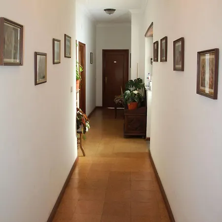 Oasis Отель типа 